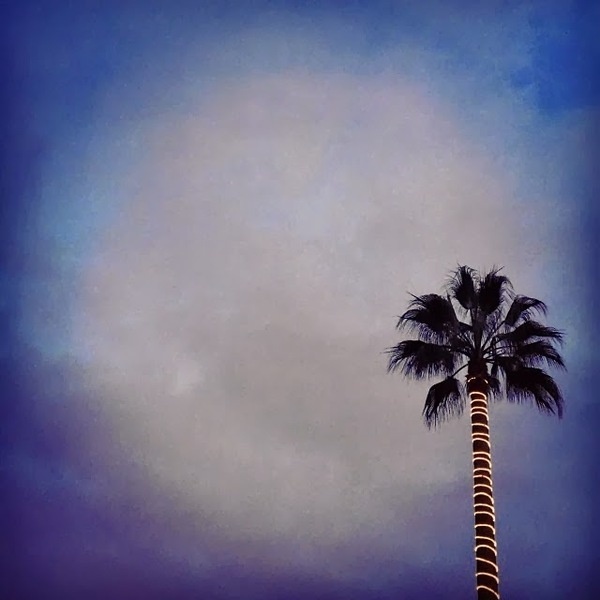 Instagram of Tamar Levine #inspration #photography #art