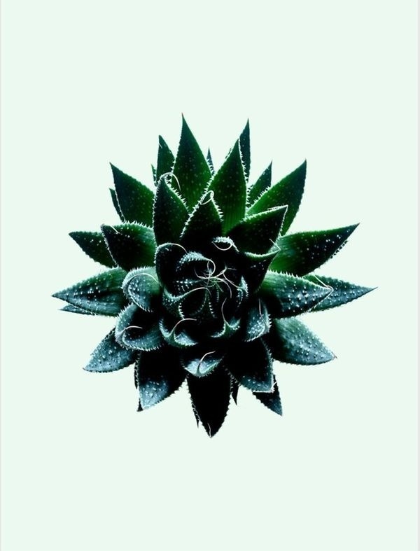 Templo- Brand Inspiration. Niice