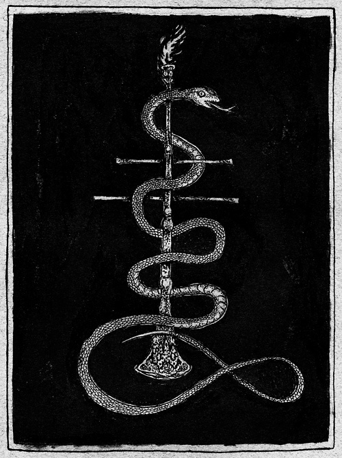 NATVRES MORTES ILLVSTRATION ∆ #snake