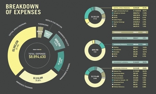 InvisibleChildren #exspences #chart #moeny