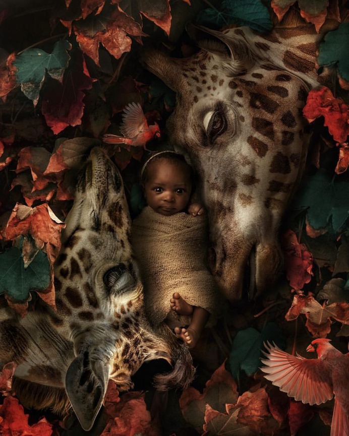 Surreal and Dreamlike Photo Manipulations by Marcel van Luit