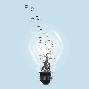 Bulb #bulb #tree #hot #birds #illustration #art #animals