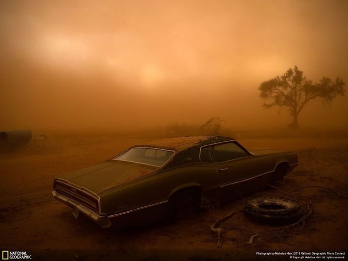 Thunderbird In The Dust, Nicholas Moir