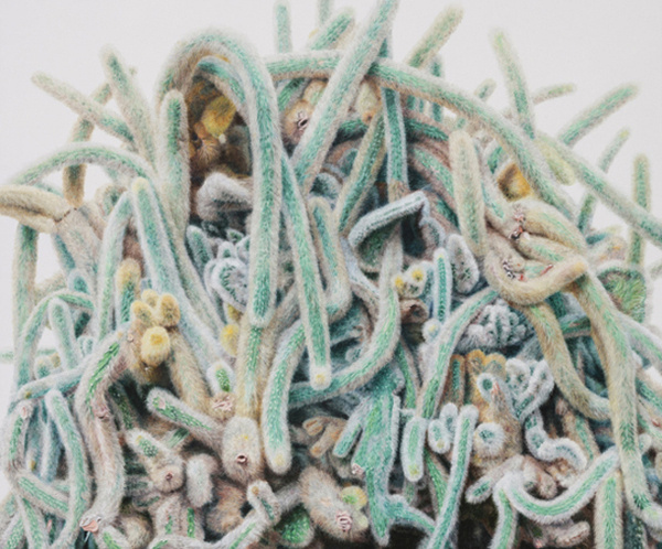 Cactus paintings – Kwang-Ho Lee #cactus #flora