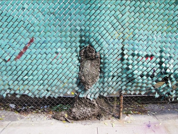 © Maxime Tetard #grid #ny #tree