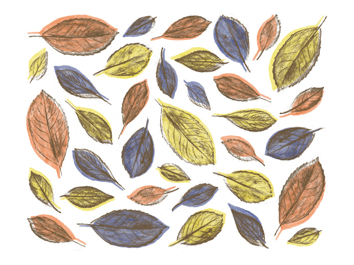 autumn, leaves, fall, season, texture