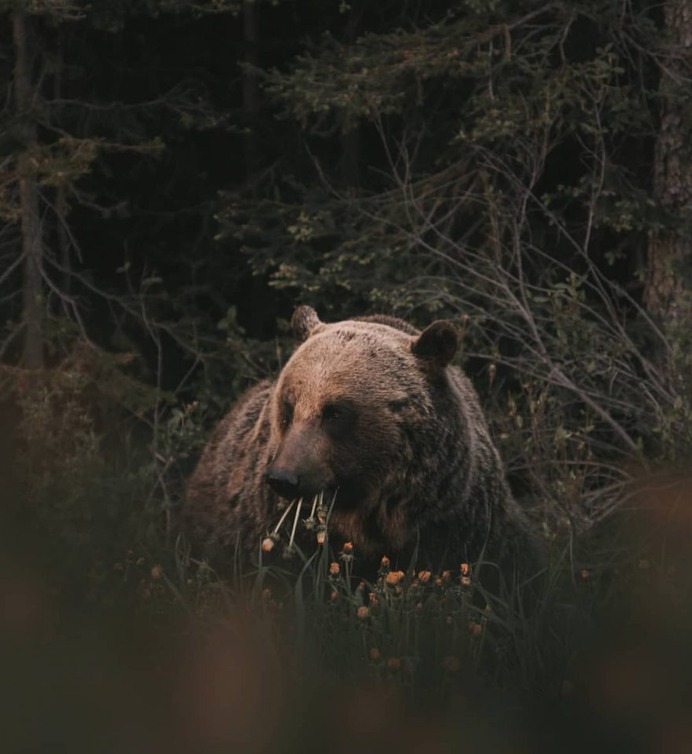 Beautiful Outdoor and Landscape Photography by Victor Aerden