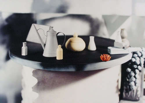 DRAGONAUT: jan groover #photography