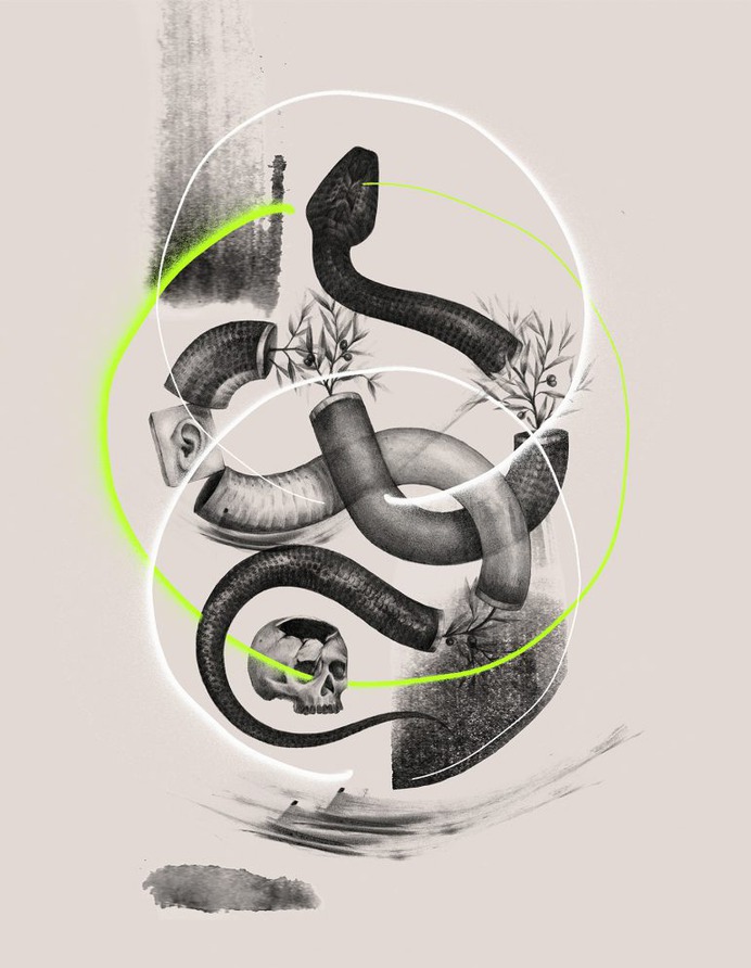 STILL Life – 2019