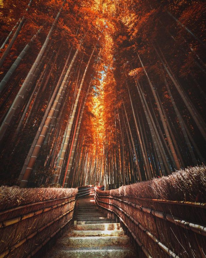 Colorful Autumn in Japan: Landscape Photography by Daisuke Uematsu