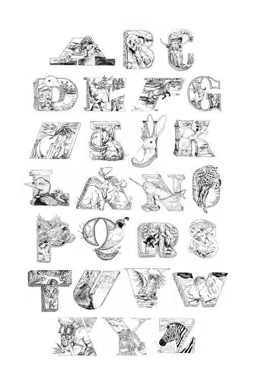Animal Alphabet #animal #alphabet #letter #lettering #a #b #c #d #e #f #g #h #i #j # k # l #m #n #o #p #q #r #s #t #u #v #x #y #z #qual #nar