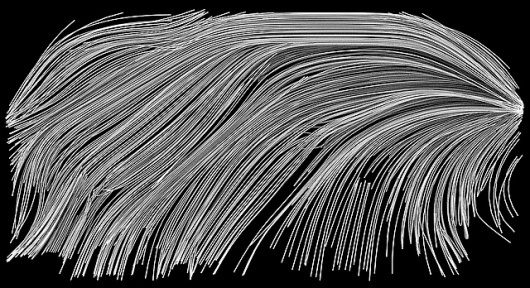 wire04 | Flickr - Photo Sharing! #abstract #pattern #montane #marcos
