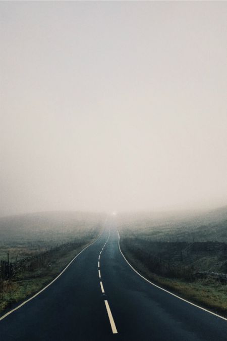 photo by Reuben Wu