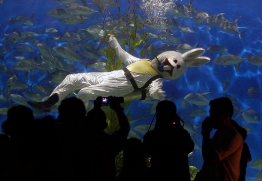 Chinese New Year, 2011 - The Big Picture - Boston.com #photo #water #weird #diver