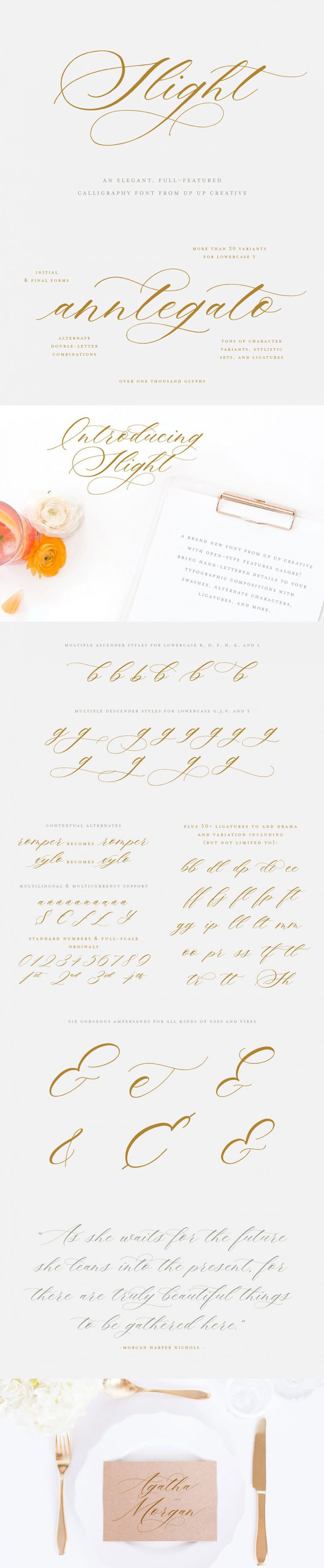 Slight, a Calligraphy Script Font