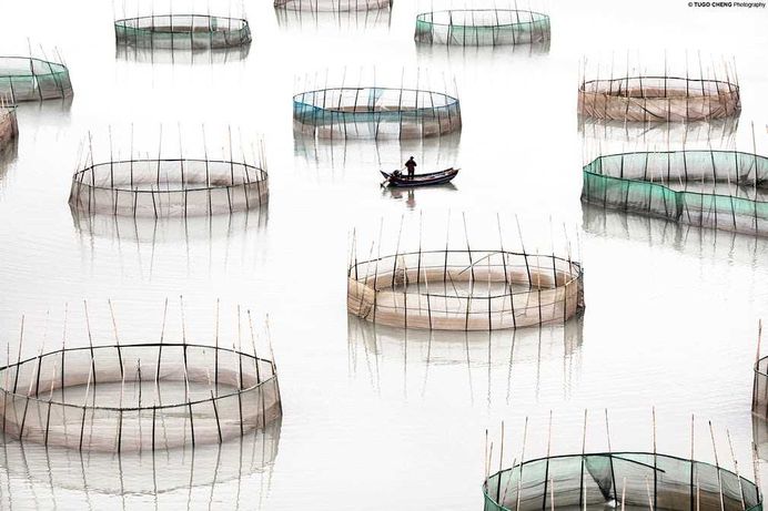 Unknown China: Coastal Geometries of Bamboo Worlds by Tugo Cheng