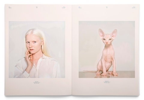 FFFFOUND! #editorial #magazine