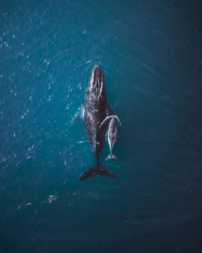 Astonishing Drone Photos from Hong Kong, Japan, China and Australia by Tom Lees