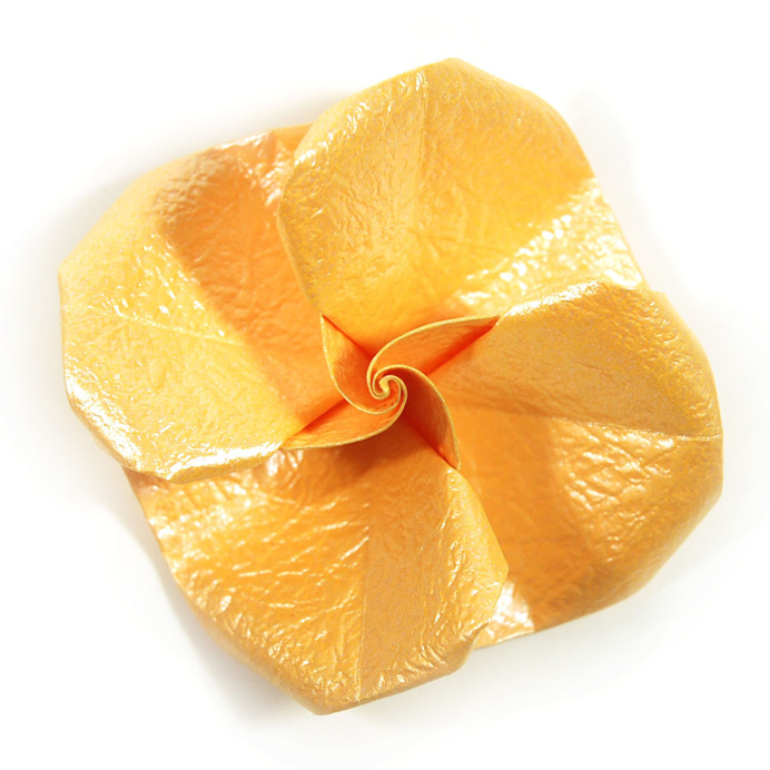 How to make an easy origami rose I (http://www.origami-flower.org/howto-origami-rose.php) #origami #rose #origamirose