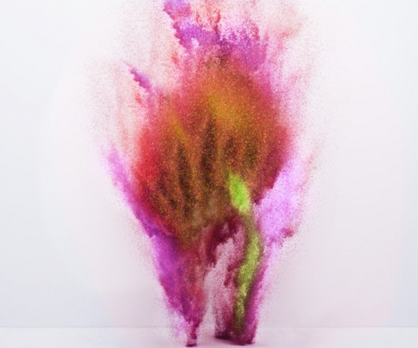 Yee Wong | PICDIT