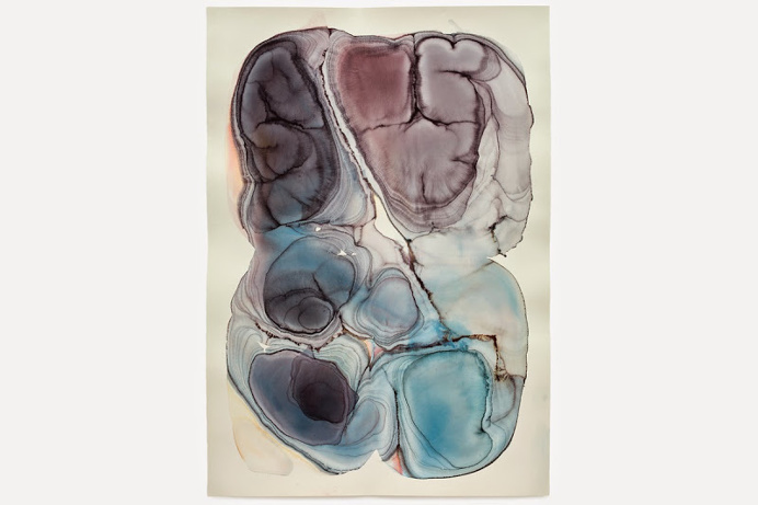 Barbara Nicholls // Watercolour on paper