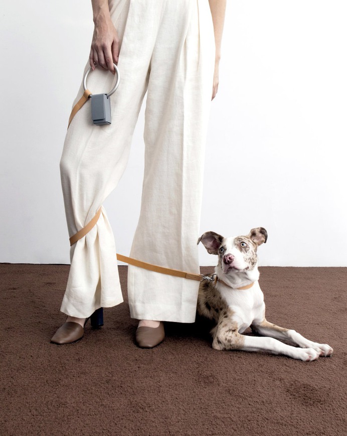 Minimal Lumi Dog Leash — minimalgoods