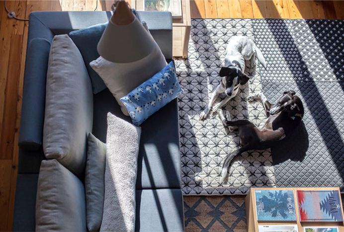 GAN Make Your Living Room More Livable - InteriorZine