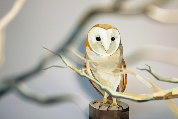 darrenbooth.com #illustration #owl