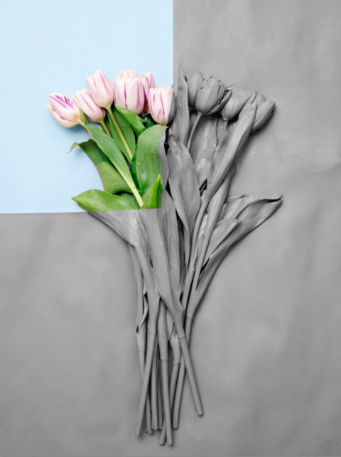 Ina Jang | PICDIT #photo #photography #design
