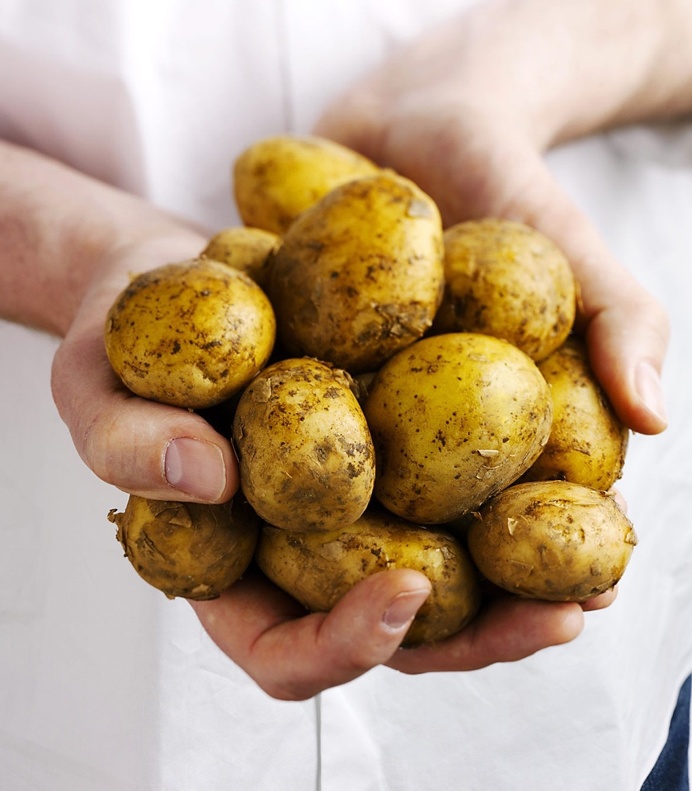 Laurie Evans | Potatos