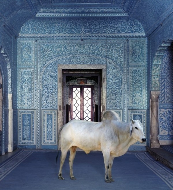 India Song by Karen Knorr #inspiration #photography #art