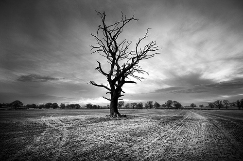 Photography by James Drury | Photography Blog #photography