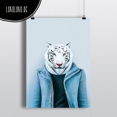 #animals #clothe #fashion #wild #tiger #poster