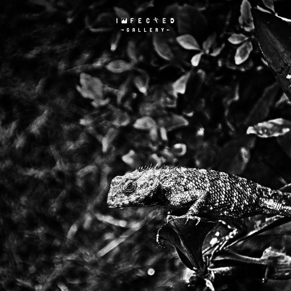 Wild #wild #gallery #leaf #infected #close #nature #photography #up #lizard