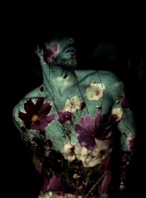 Butch+Queer Faerie+Macho #projections