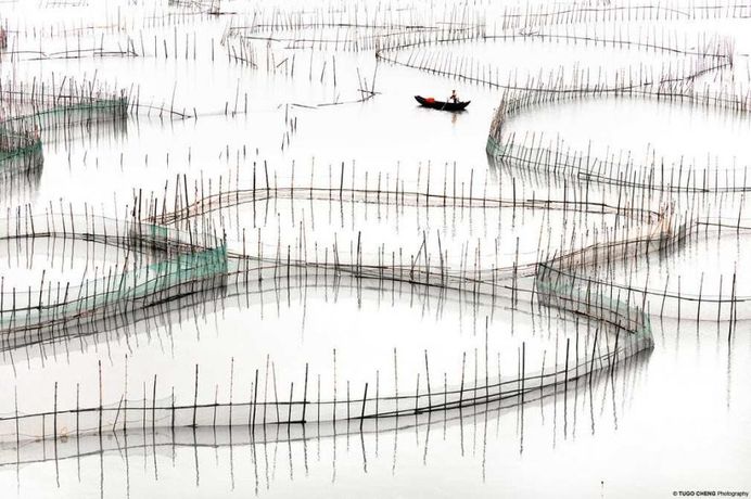 Unknown China: Coastal Geometries of Bamboo Worlds by Tugo Cheng