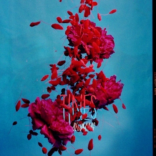 Becoming / T|nes #vivid #motion #falling #photography #grain #tines #music #peonies