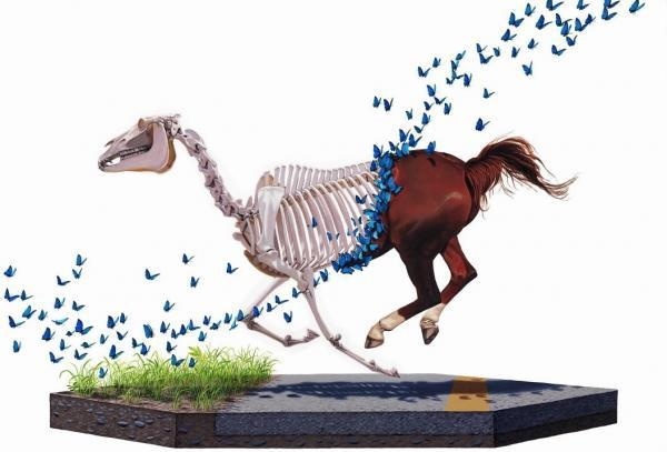 Scientific Textbook illustrations by Josh Keyes #josh #scientific #keyes #illustrations #textbook