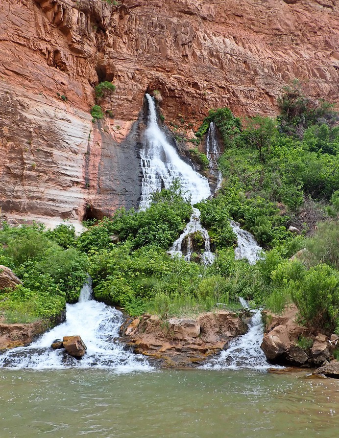Vasey's Paradise Grand Canyon Rafting