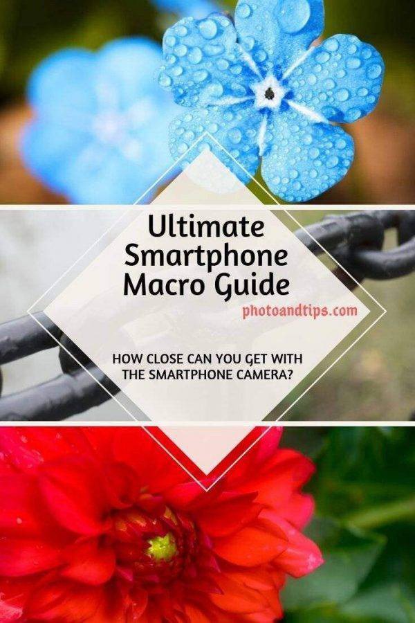 If you are interested to learn the best tips and tactics to deal with the Macro and Close-Up shots, this eBook can guide you better. @photoandtips #photoandtips #smartphonecloseup #iphonemacro #smartphonemacro #smartphonetips #iphonetips #mobiletips #smartphonephotography #iphonephotography #smartphonecamera #smartphonephotographytips #iphonephotographytips #smartphonephoto #iphonephoto #photographytips #photography