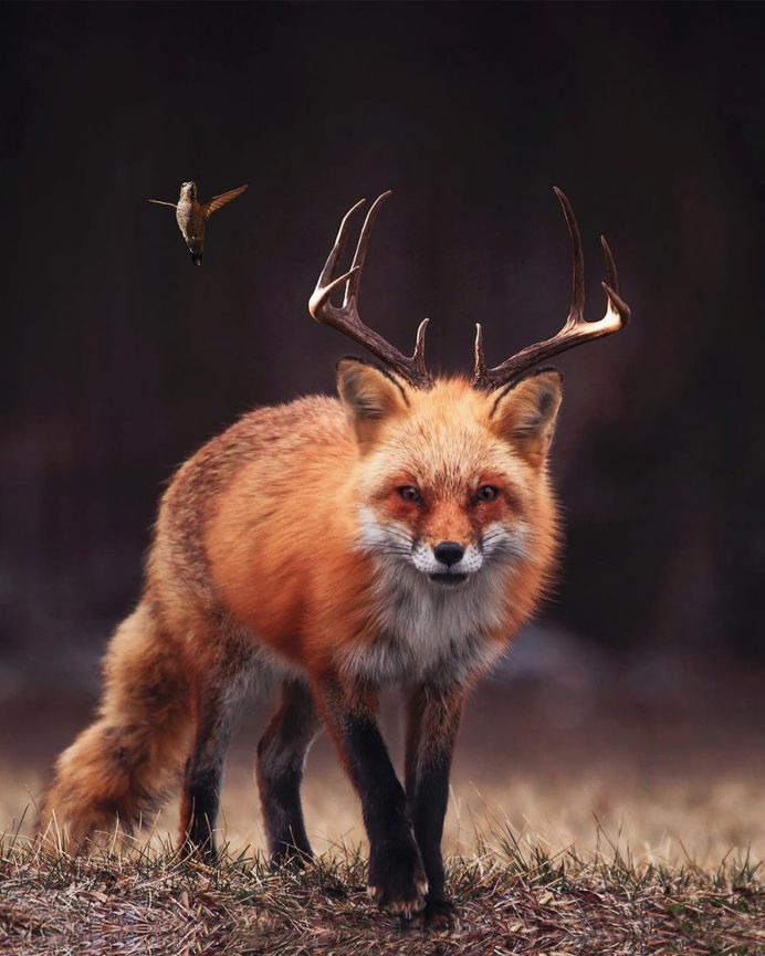 #theuniversalart: Dreamlike Photo Manipulations by Michael Thor