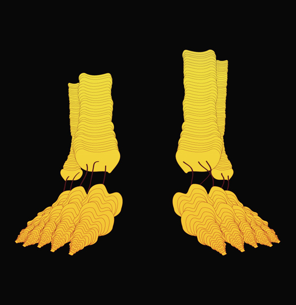 Bones / Print Illustration #yellow #design #illustration #skull #bones