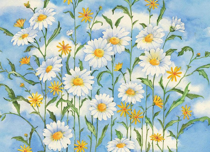 daisy painting & daisy paint by number #painting