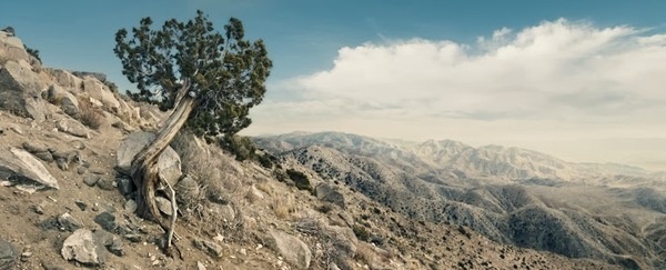Photography by Chris Crisman #inspiration #photography #landscape