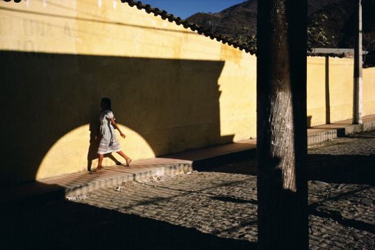 Alex Webb, Ajijic, Jalisco, 1983.