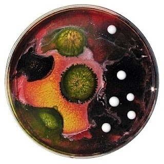 The Daily Dish #epoxy #art