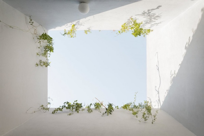 Light well. Casa Verne by Zeller & Moye. © Omar Muñoz. #lightwell