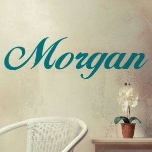 A traditional font makes a great decal for a girl's room or a last name in an entry way. Custom name wall decal from http://cozywallart.com #name #decal