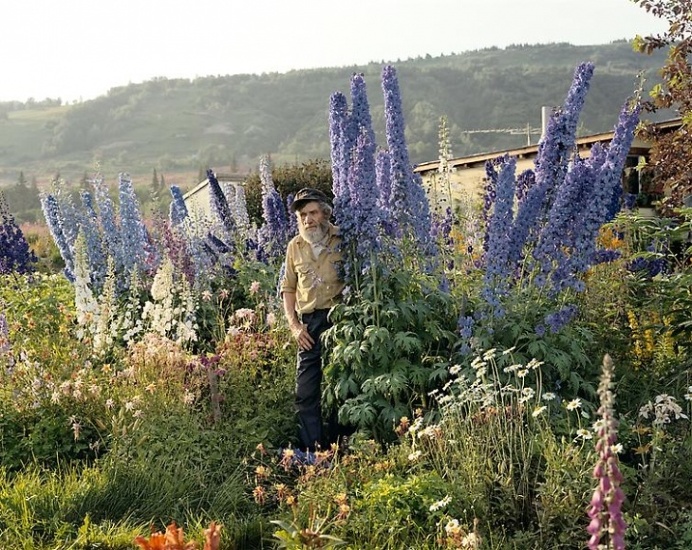 joel sternfeld