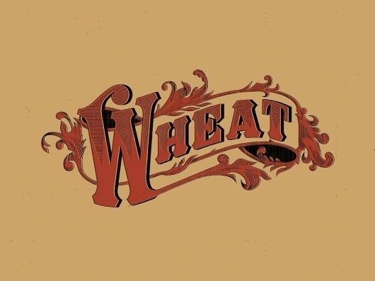 The Phraseology Project #inspiration #lettering #red #design #wheat #type #typography